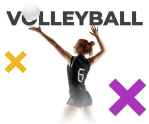 volleyball betting